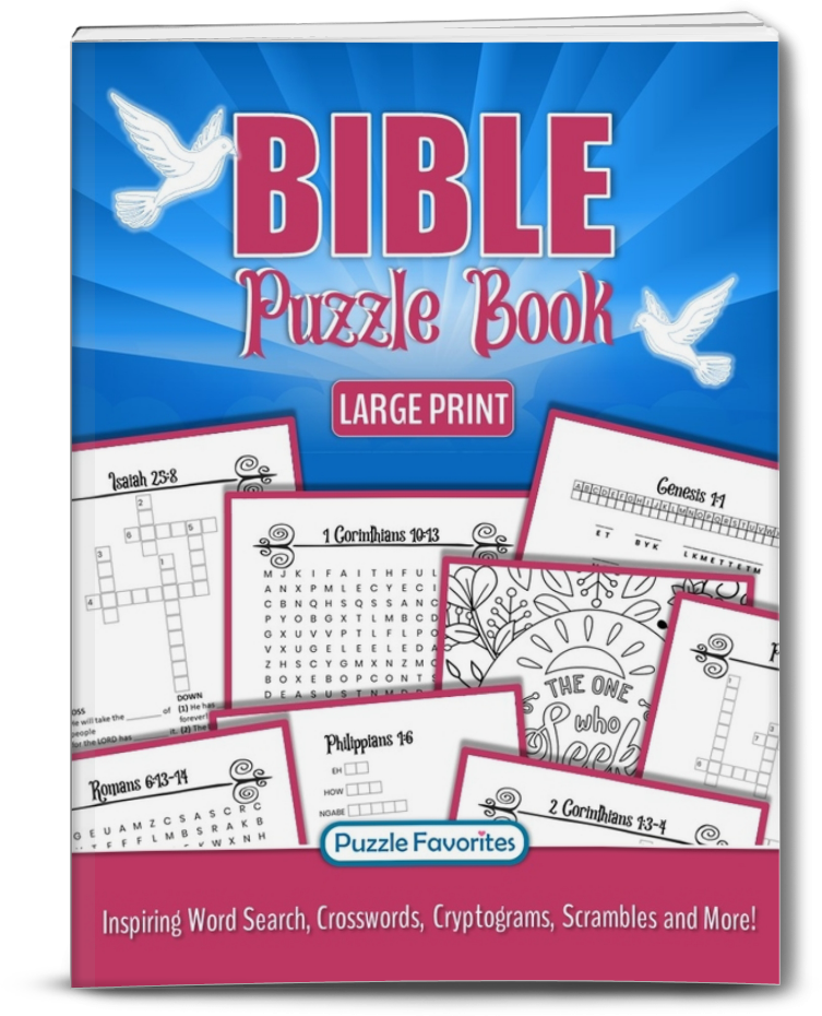 Bible Puzzle Book