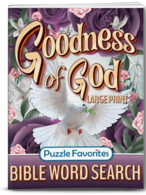 Goodness of God Bible word search book