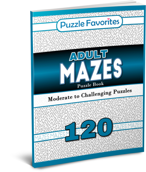 Adult Mazes Puzzle Book