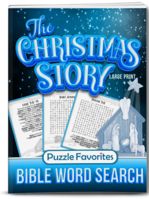Christmas Story Word Search