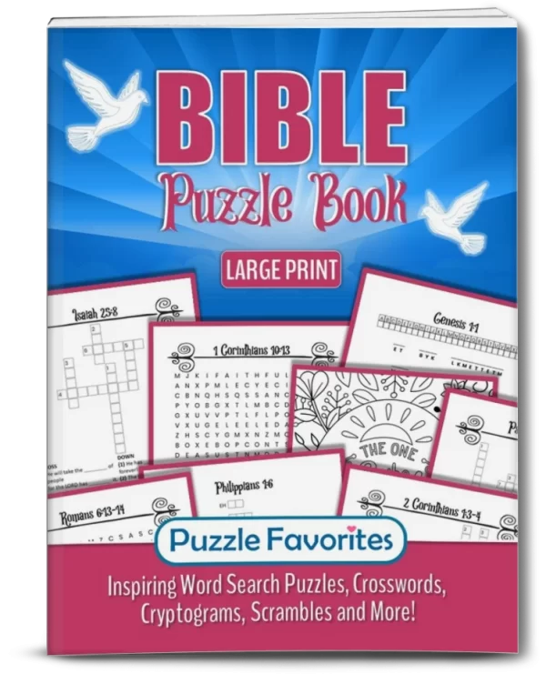 Bible Puzzle Book