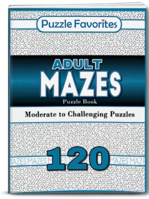 Adult Mazes Puzzle Book